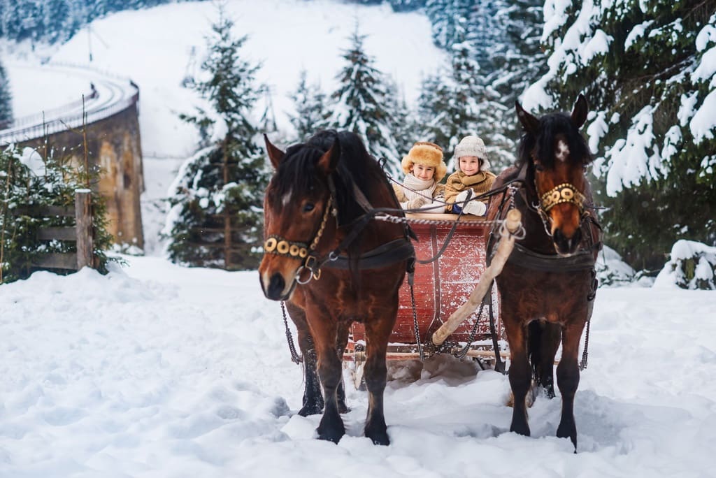 School age children in sleigh as reward for successful December fundraiser event