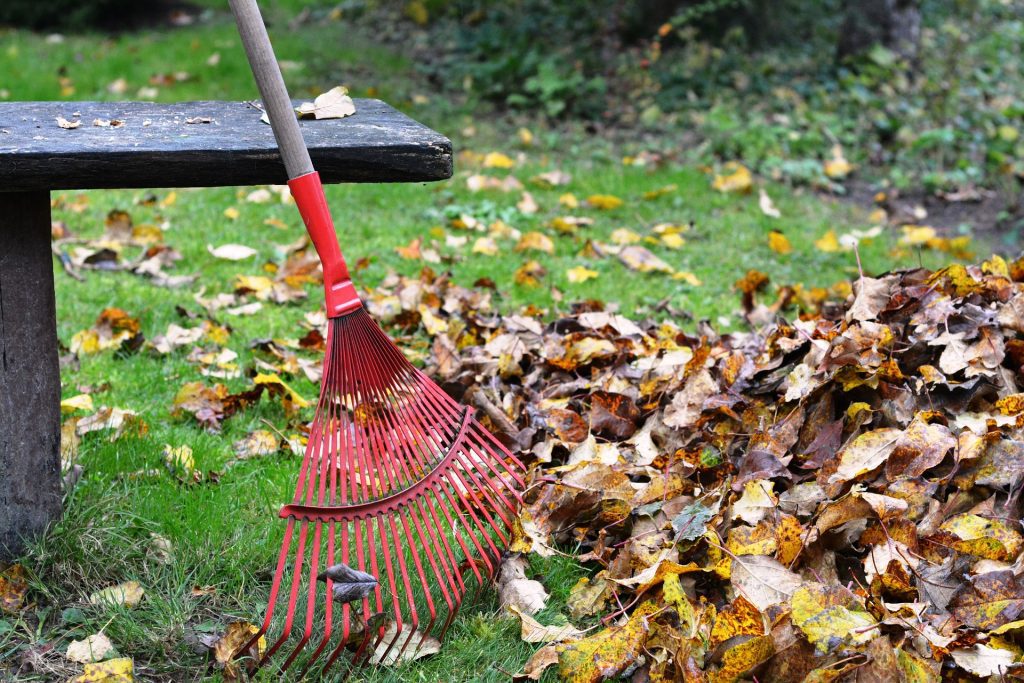 A red rake in fall leaves during a yard raking fundraiser