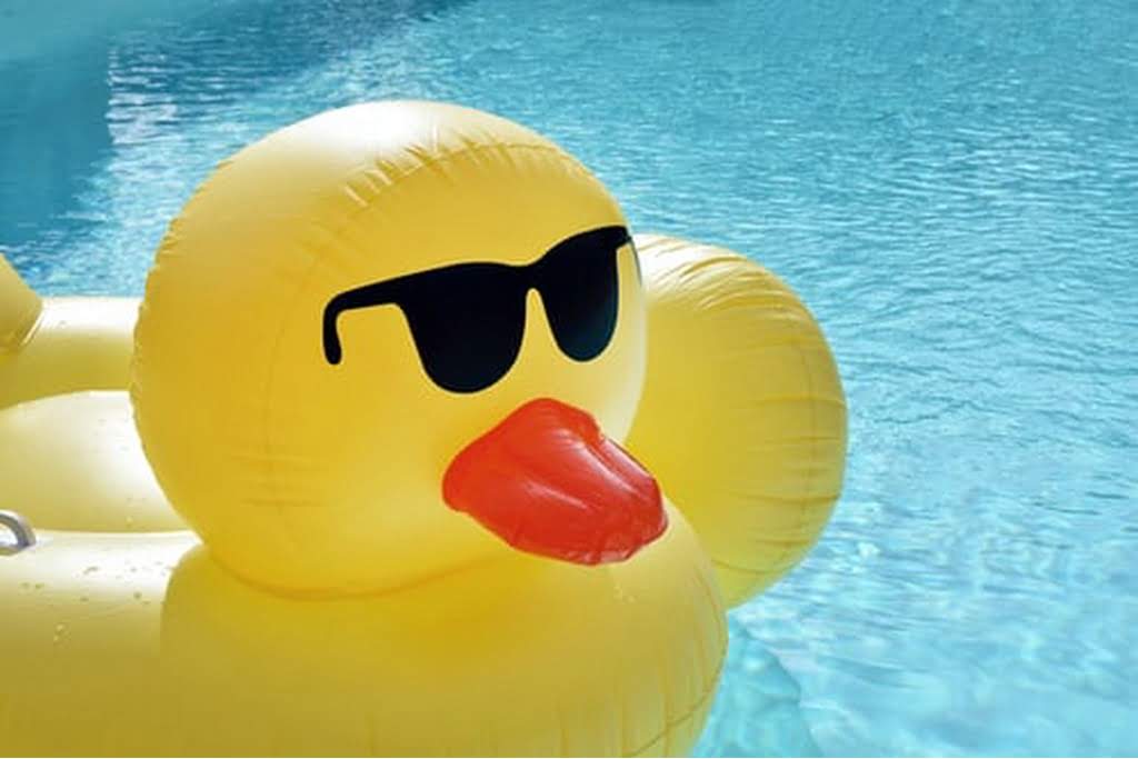 floatie duck in a swimming pool