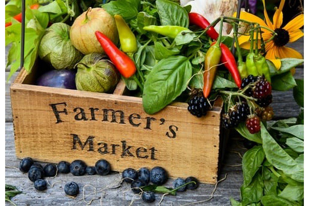 farmers market basket