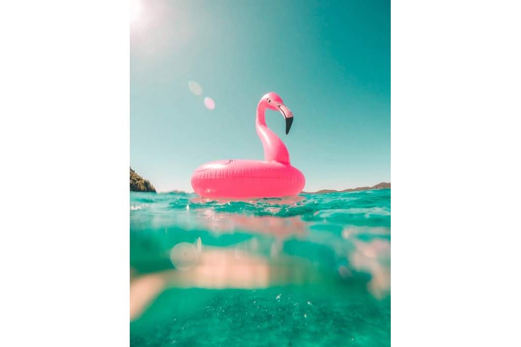 A pink flamingo float on a pool with blue sky in the background