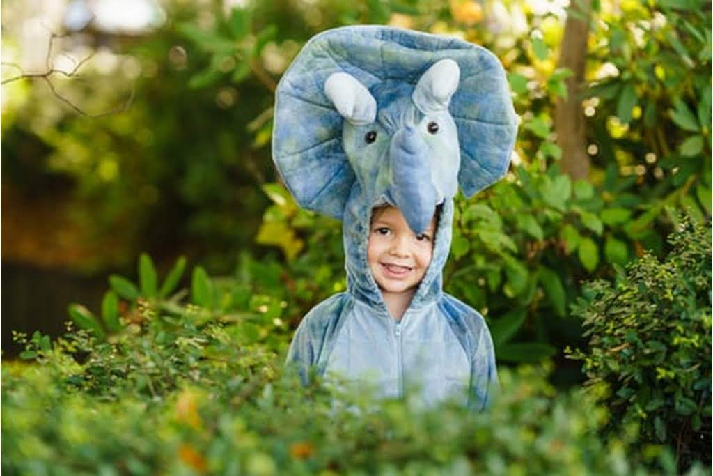 kid in elephant costume