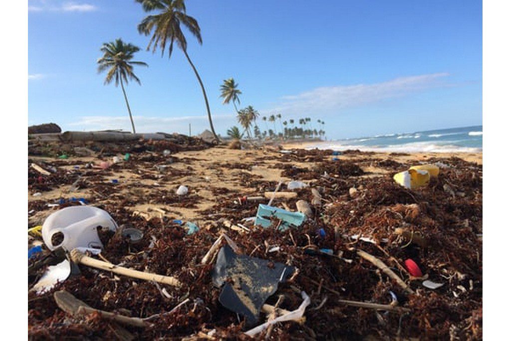 beach filed with garbage