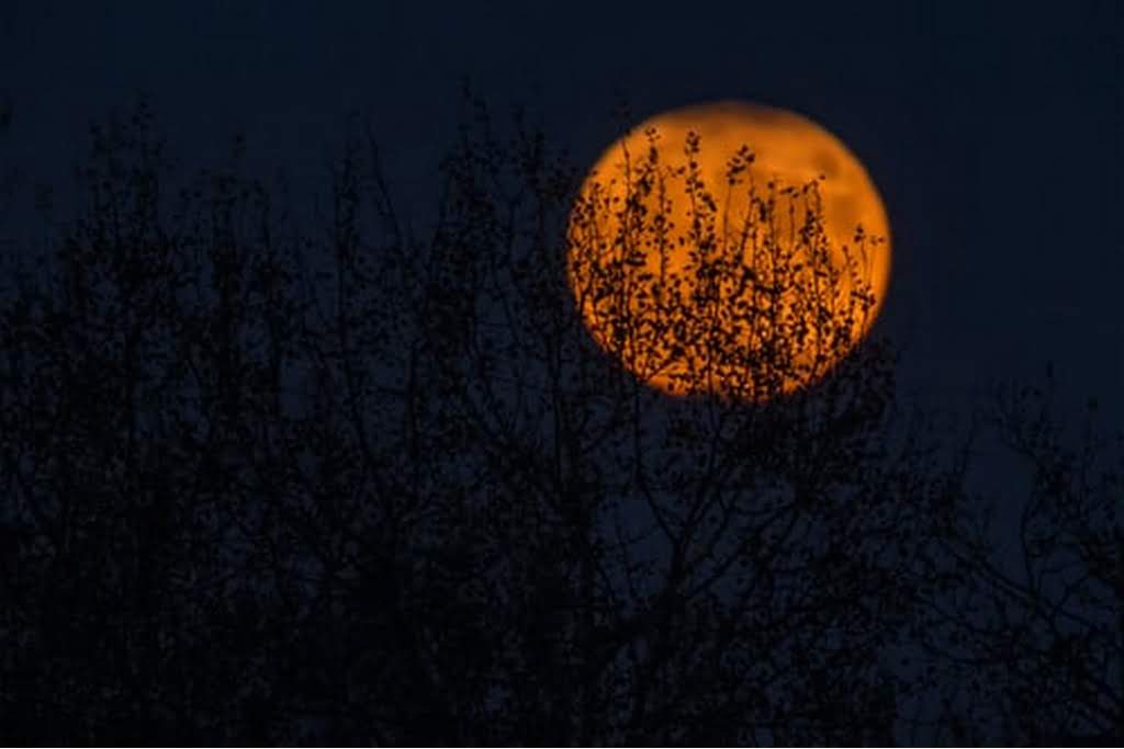 orange moon