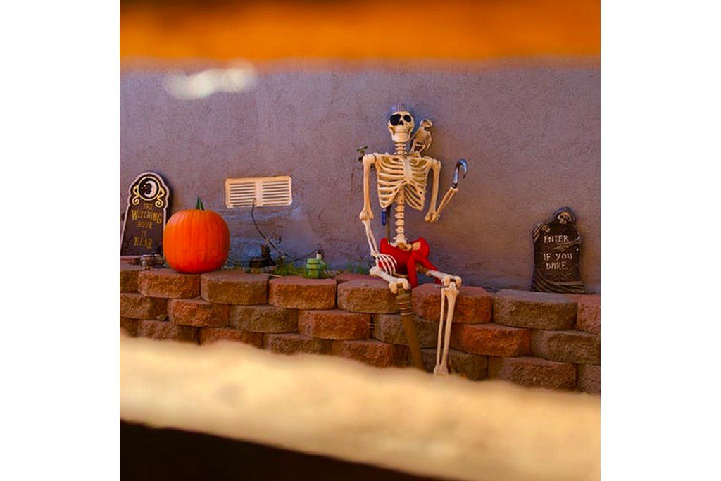 toy skeleton with a drink