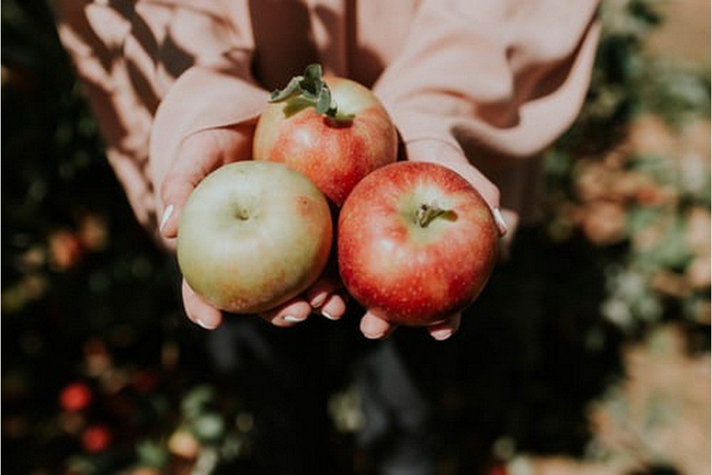 3 apples in a hand