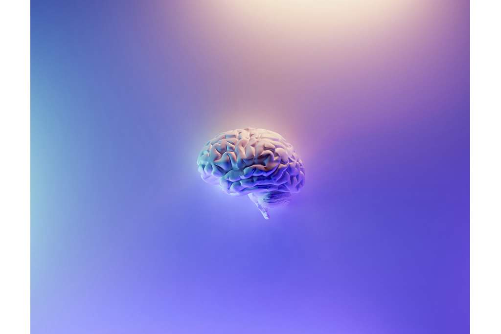 A sculpture of a brain surrounded by purple light image of a brain