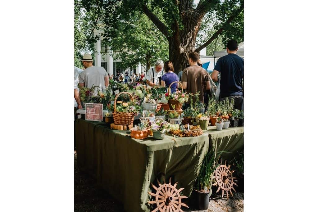 outdoor gathering