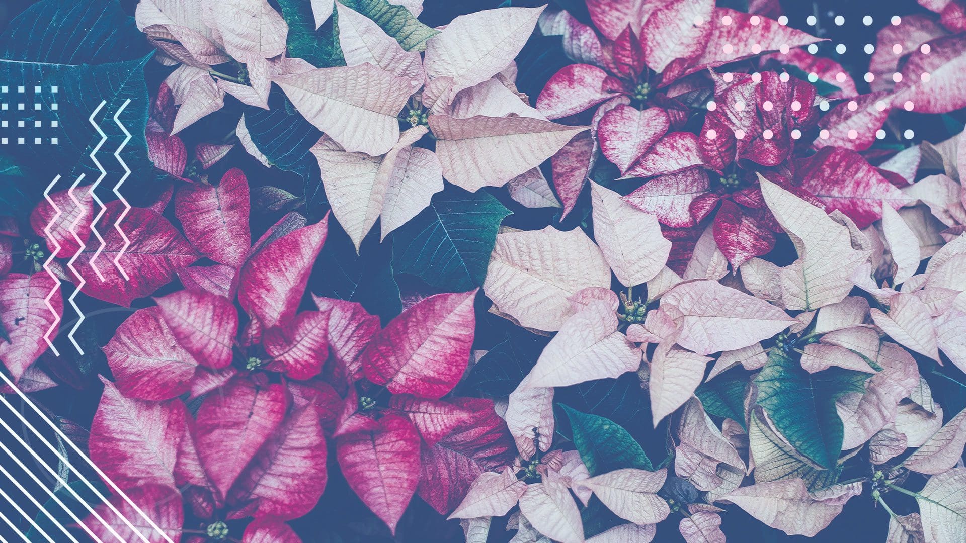 close up photo of a wreath