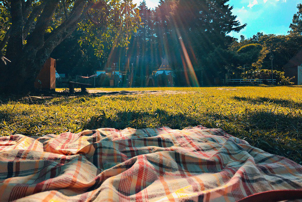 A plaid blanket on a green field during a sunny day pinic in the park