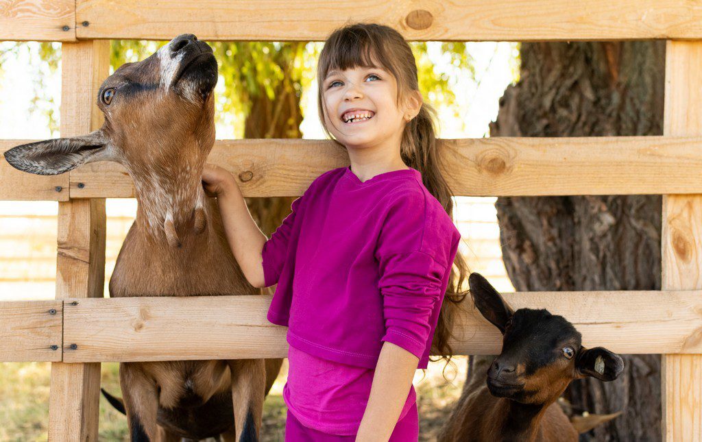 Little girl petting goats at a wildlife sanctuary