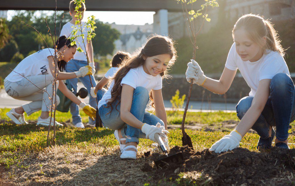 kids planting trees in a community park