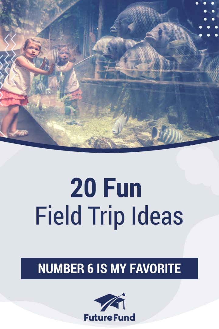 fun field trip ideas pinterest asset