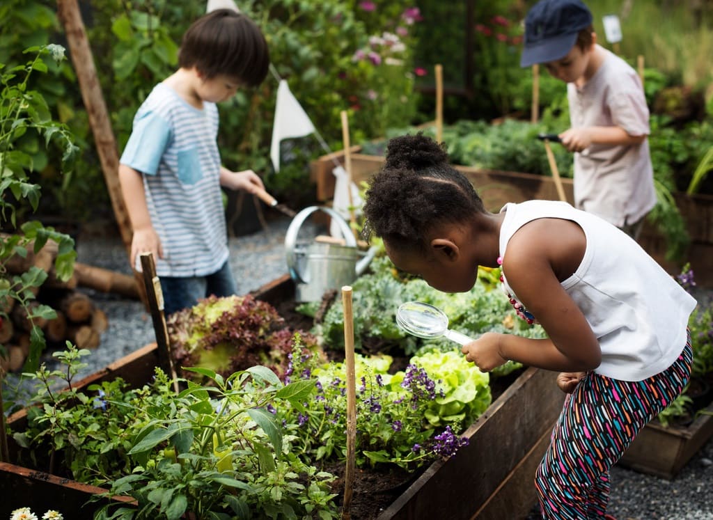 Students during plant-a-thon fundraiser