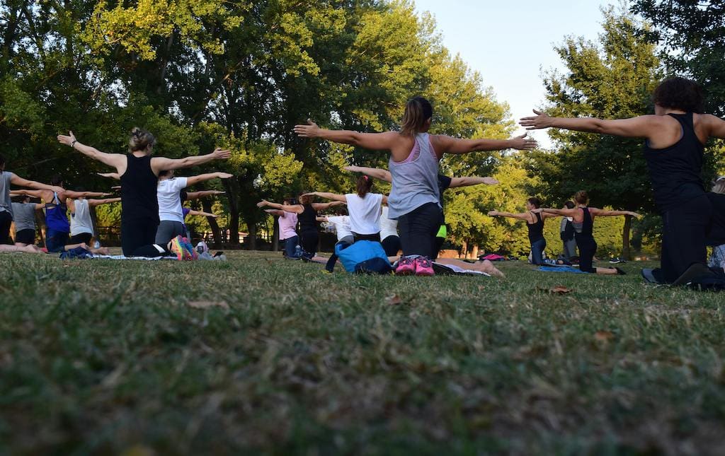 women performing yoga in the park