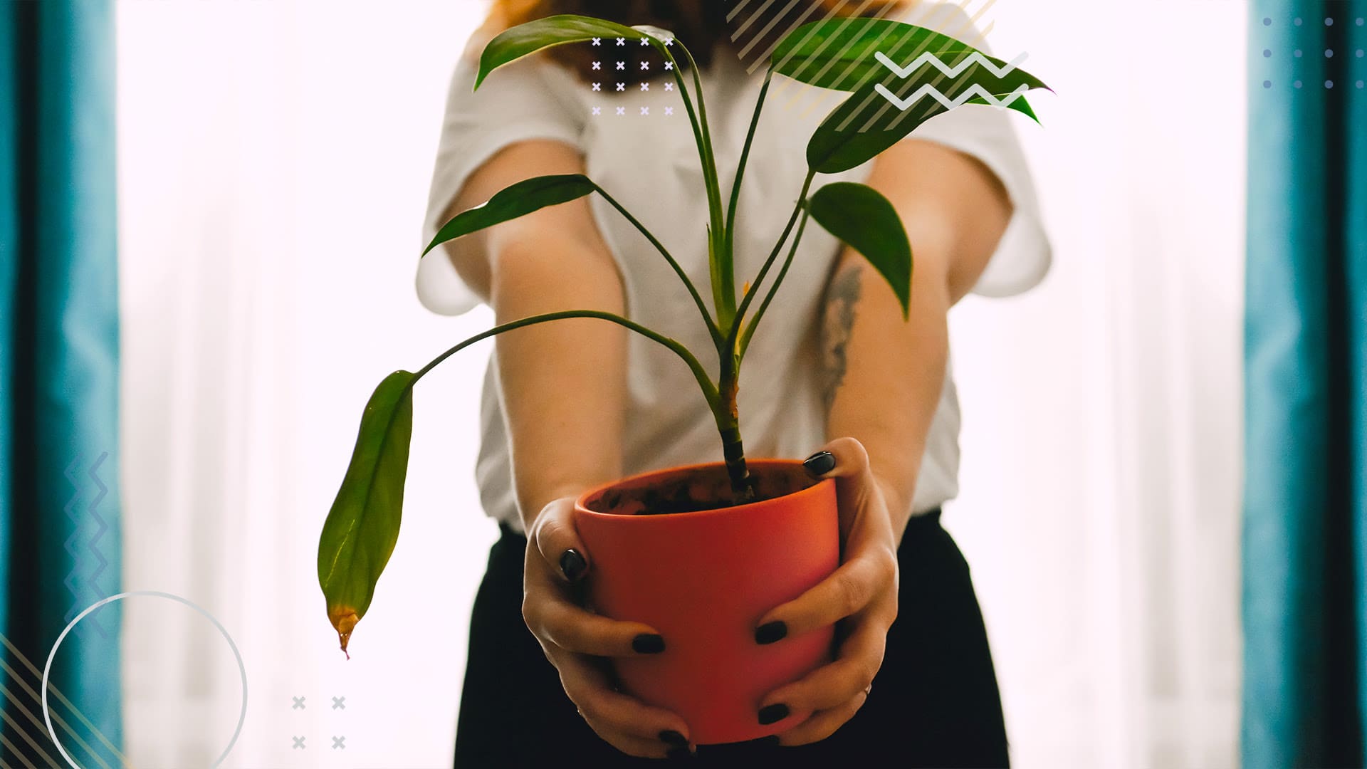 Woman holding a flower pot